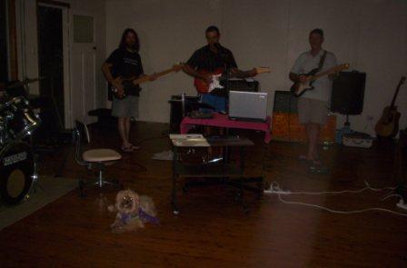 about Us - Fun - before_puppies5