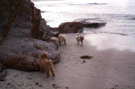 about Us - Fun - visit_beach