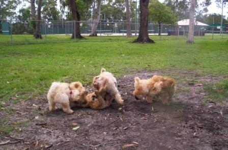 about Us - Fun - visit_dirt