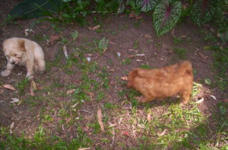 about Us - Fun - visit_garden