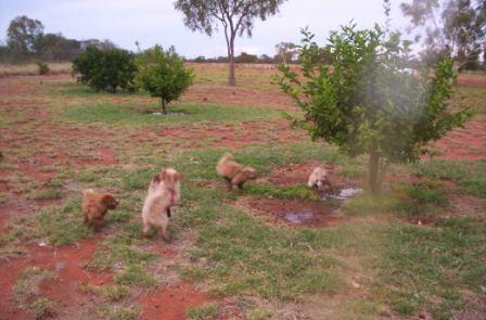 about Us - Fun - visit_orchard