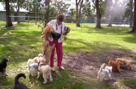about Us - Fun - visit_park