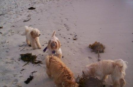 about Us - Fun - visit_sand